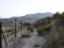Yacimiento  Sisaya 2007